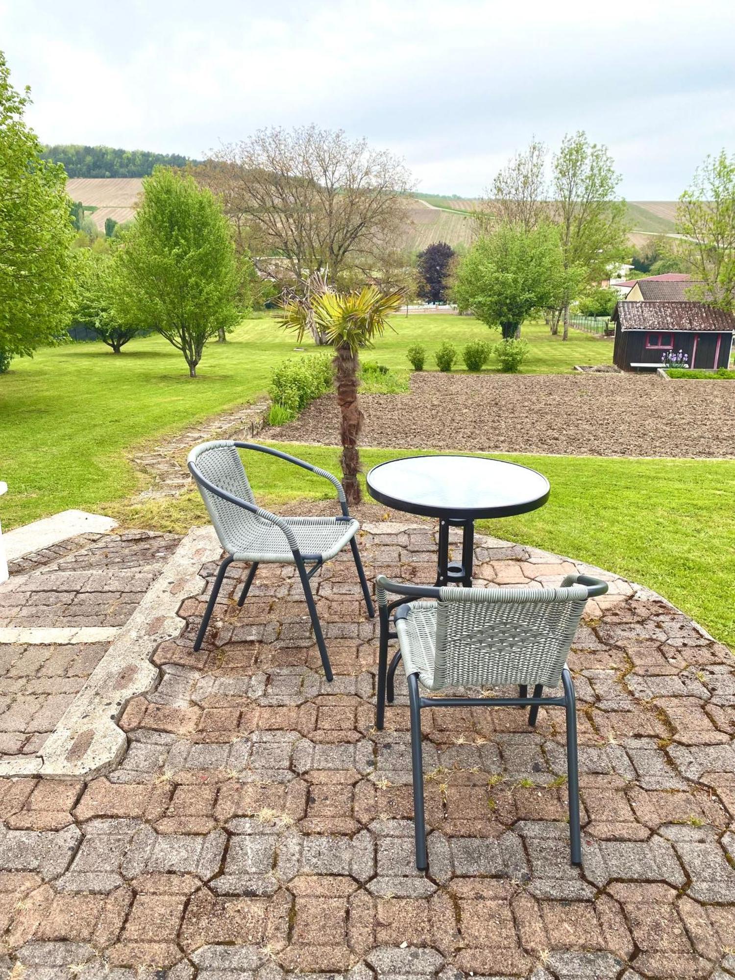 La Jonquille Villa Baroville Luaran gambar